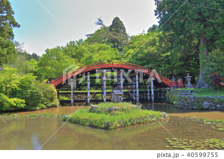 丹生都比売神社 輪橋と鏡池 丹生都比売神社 輪橋と鏡池 40599755