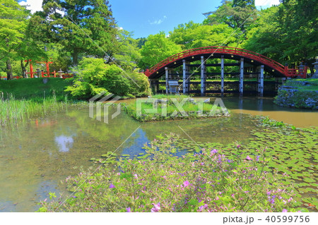 丹生都比売神社　輪橋と鏡池 40599756