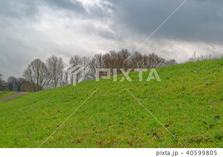Blue cloudy sky above green meadow Blue cloudy sky above green meadow 40599805