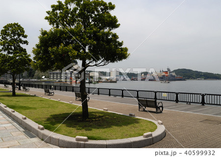 海を望む公園 40599932