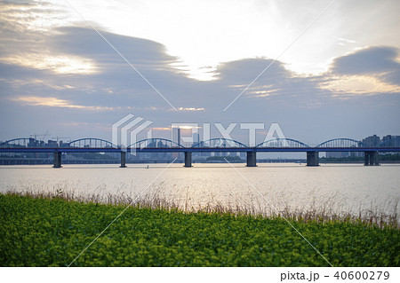 動作大橋 ソレソム 龍山区 40600279