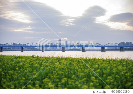 動作大橋 ソレソム 漢江 40600280