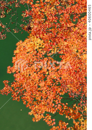 秋の塔のへつり（福島県・下郷町） 40600465