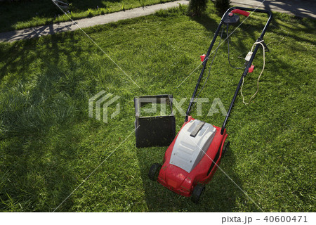Mowing the lawn with electric red mower 40600471