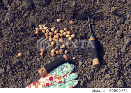 Gardening glove and gardening tools on the ground 40600472