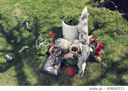 Rockery and planting flowers 40600521