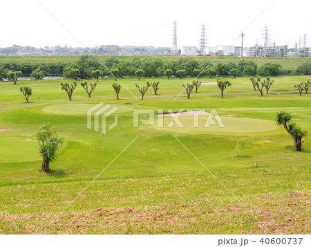 初夏の河川敷きのゴルフ場 40600737