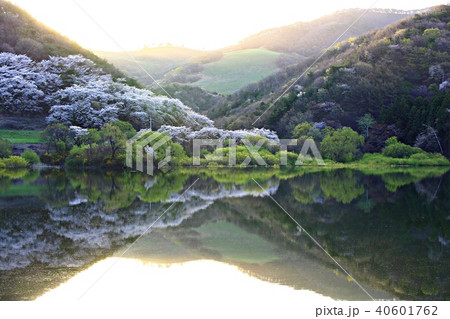 瑞山市 湖 貯水池 40601762