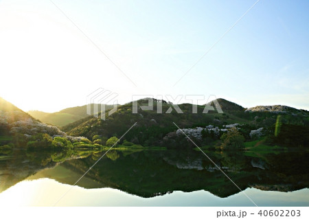 湖 貯水池 木 40602203