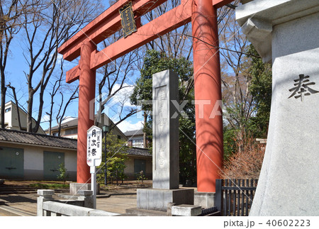 世田谷散歩：世田谷八幡宮 40602223