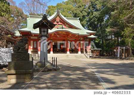世田谷散歩：世田谷八幡宮　拝殿 40602333