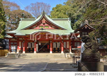 世田谷散歩：世田谷八幡宮　拝殿 40602335
