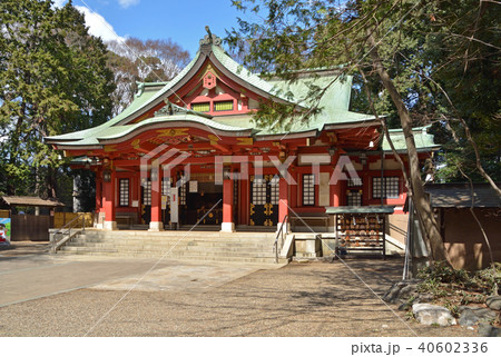 世田谷散歩:世田谷八幡宮 拝殿 世田谷散歩:世田谷八幡宮 拝殿 40602336