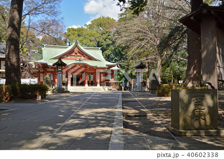 世田谷散歩：世田谷八幡宮　拝殿 40602338