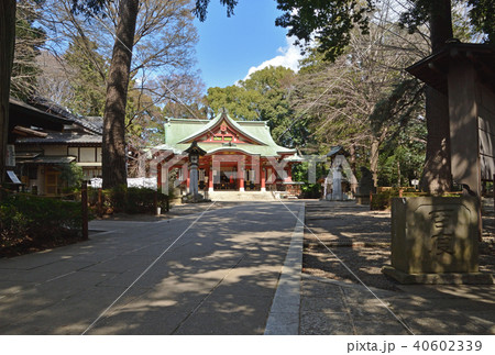 世田谷散歩：世田谷八幡宮　拝殿 40602339