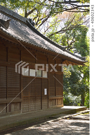 世田谷散歩：世田谷八幡宮　 40602343