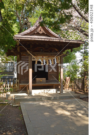 世田谷散歩：世田谷八幡宮　境内社・高良神社 40602348