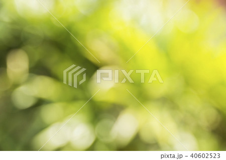 Natural green blurred background 40602523