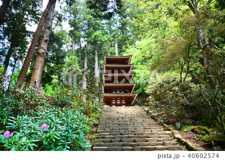 室生寺 40602574