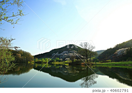 瑞山市 湖 貯水池 40602791