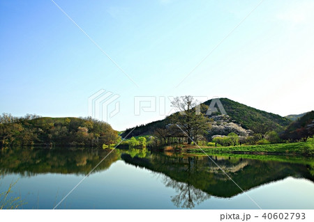 瑞山市 湖 貯水池 40602793