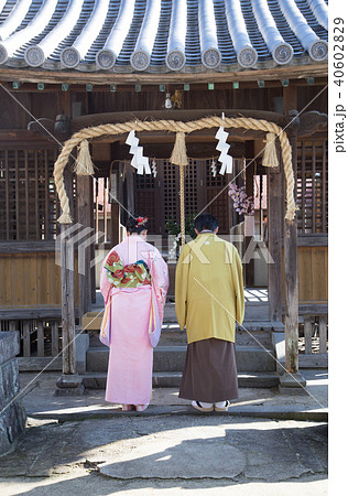 初詣イメージ 初詣イメージ 40602829