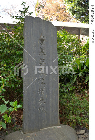 世田谷散歩:松陰神社 徳富蘇峰植樹の碑 世田谷散歩:松陰神社 徳富蘇峰植樹の碑 40602934