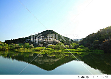 瑞山市 湖 貯水池 40602976