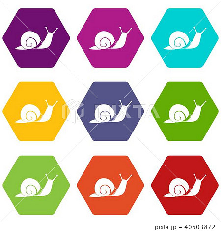 Snail icon set color hexahedron Snail icon set color hexahedron 40603872