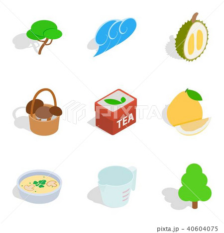 Forest park zone icons set, isometric style 40604075