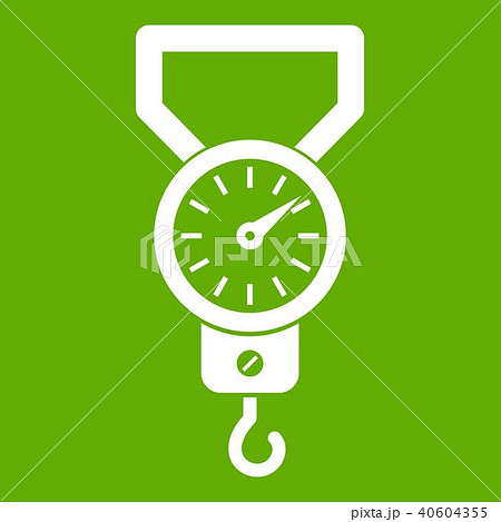 Spring scale icon green 40604355