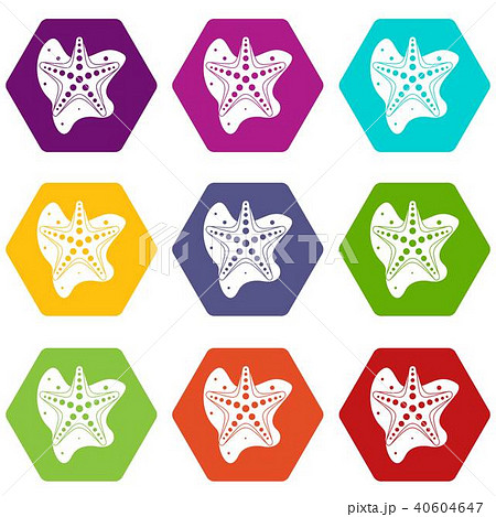 Sea star icon set color hexahedron 40604647