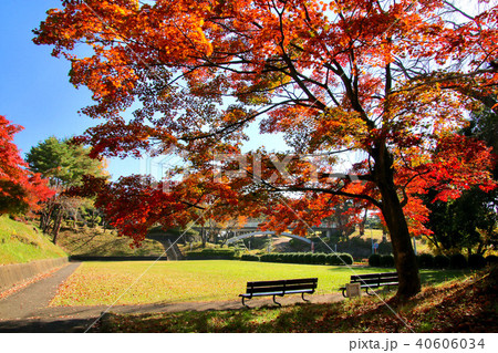 秋の翠ヶ丘公園(福島県・須賀川市) 秋の翠ヶ丘公園(福島県・須賀川市) 40606034