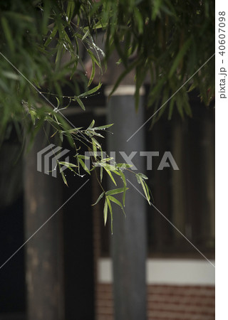 伝統建築 伝統的建造物 伝統的建築物 40607098