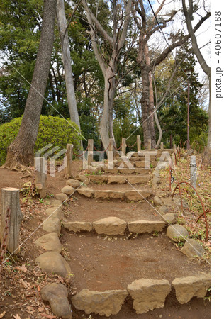 世田谷散歩：世田谷城址公園 40607188