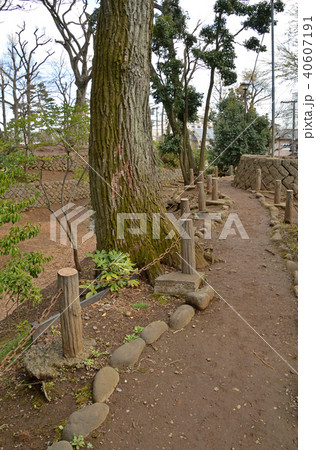 世田谷散歩：世田谷城址公園 40607191