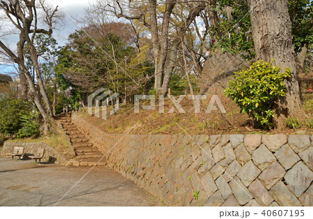 世田谷散歩:世田谷城址公園 世田谷散歩:世田谷城址公園 40607195