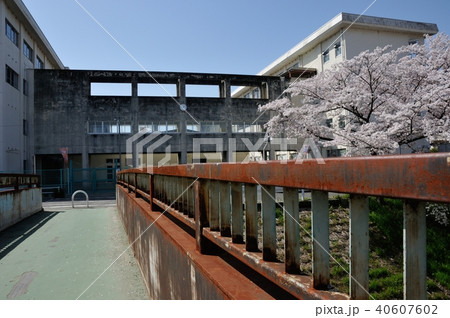 歩道橋と桜 40607602
