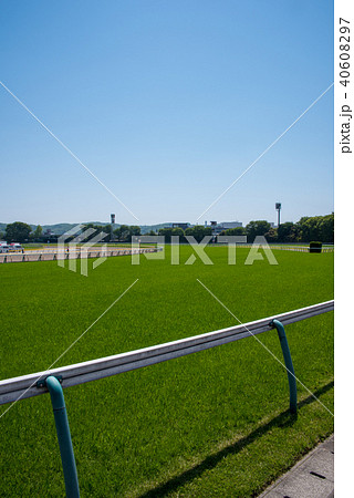 東京競馬場　コース　府中 40608297