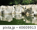 川辺の奇岩 40609913