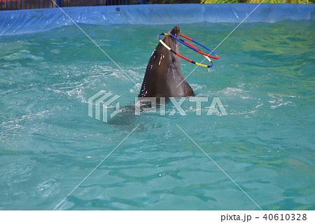 Orenburg, Russia - October 15, 2017 year Orenburg, Russia - October 15, 2017 year 40610328