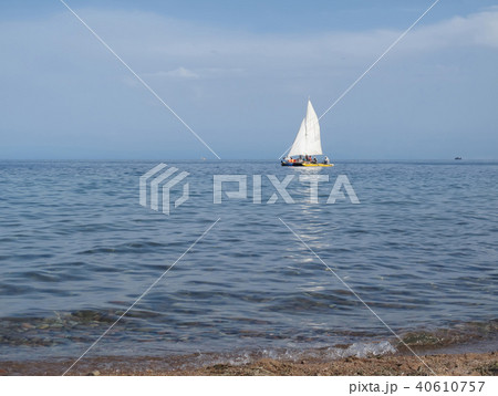 white sail in the sea 40610757
