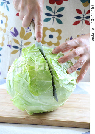 新鮮な春キャベツの調理 40611463