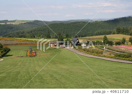 北海道 美瑛町 ぜるぶの丘 北海道 美瑛町 ぜるぶの丘 40611710