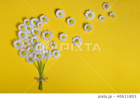 Abstract daisy flower bouquet 40611803