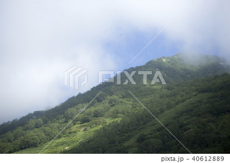 高原の初秋 高原の初秋 40612889