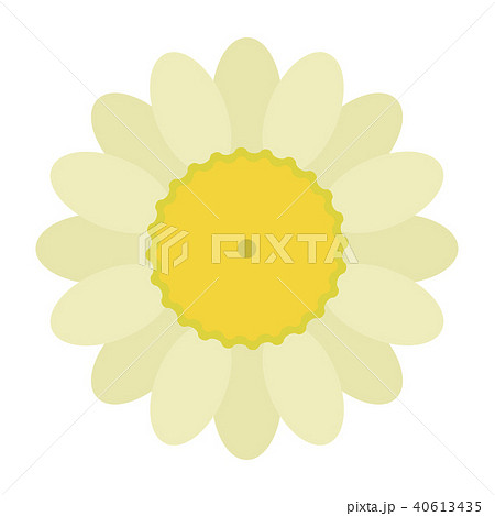 アシズリノジギク アシズリノジギク 40613435