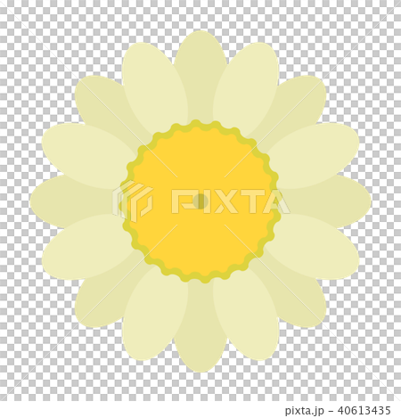 アシズリノジギク アシズリノジギク 40613435