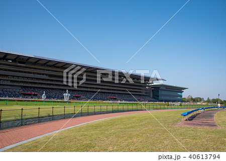 東京競馬場 スタンド 府中 東京競馬場 スタンド 府中 40613794