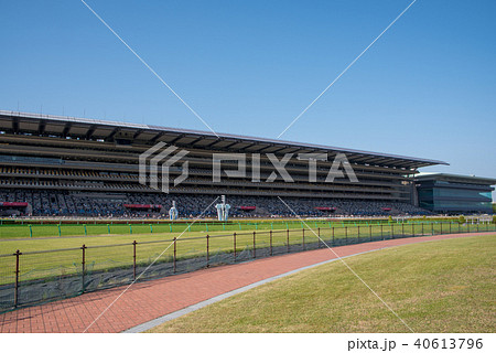 東京競馬場　スタンド　府中 40613796